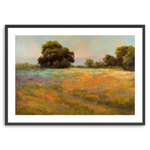 Spring Meadow