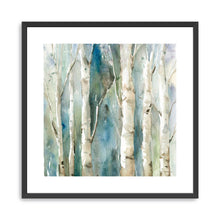 River Birch I