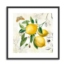 Linen Lemons