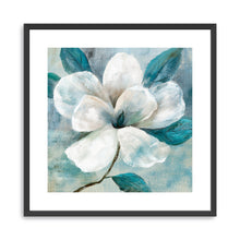 Teal Magnolia I
