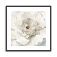 Neutral Peony