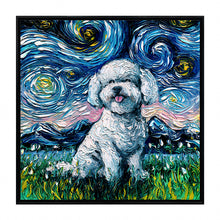Starry Night Paws Collection I (Assorted Pack of 4)