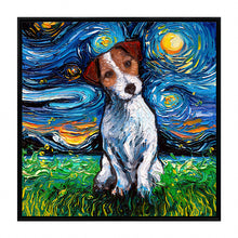 Starry Night Paws Collection II (Assorted Pack of 4)