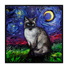 Starry Night Paws Collection III (Assorted Pack of 4)