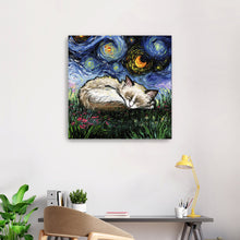 Sleepy Ragdoll Kitten Night