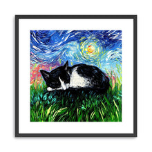 Sleepy Tuxedo Kitten Night