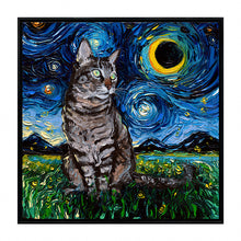 Starry Night Paws Collection III (Assorted Pack of 4)