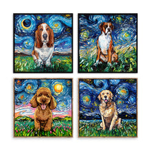 Starry Night Paws Collection IV (Assorted Pack of 4)