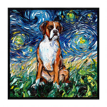 Starry Night Paws Collection IV (Assorted Pack of 4)