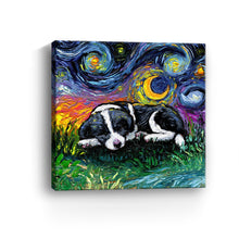 Sleepy Border Collie Pup Night