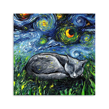 Sleepy Russian Blue Night