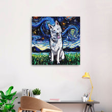 Swiss Shepherd Night