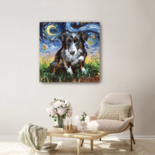 Australian Sheperd Night