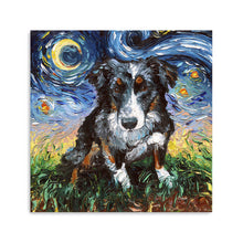 Australian Sheperd Night
