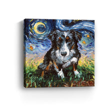 Australian Sheperd Night