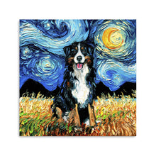 Bernese Mountain Dog