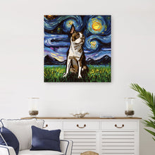 Brown Boston Terrier Night