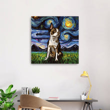 Brown Boston Terrier Night