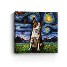 Brown Boston Terrier Night