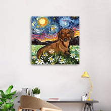 Brown Dachshund Night 2