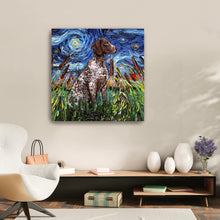 German Shorthair Pointer Night