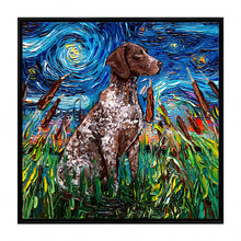 Starry Night Paws Collection V (Assorted Pack of 4)