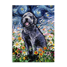 Gray Labradoodle