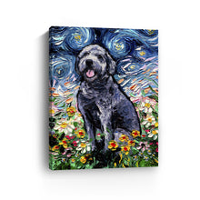 Gray Labradoodle