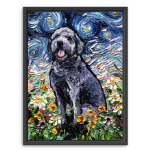Gray Labradoodle