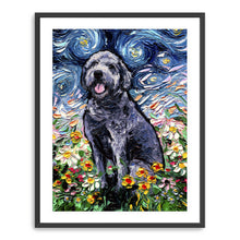 Gray Labradoodle
