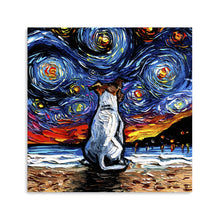 Jack Russell Terrier Night 2