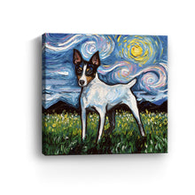 Toy Fox Terrier Night