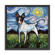 Toy Fox Terrier Night