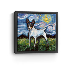 Toy Fox Terrier Night