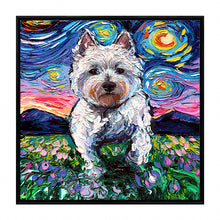 Starry Night Paws Collection VII (Assorted Pack of 4)