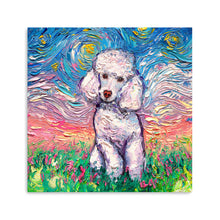 White Poodle Night Canvas Wall Art