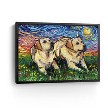 Yellow Labradors Night