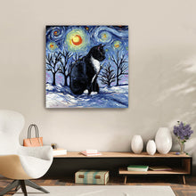 Winter Night - Tuxedo Cat