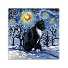 Winter Night - Tuxedo Cat