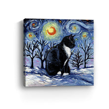 Winter Night - Tuxedo Cat