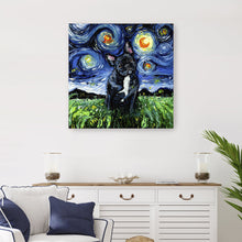 Black and White French Bulldog