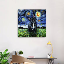 Black and White French Bulldog