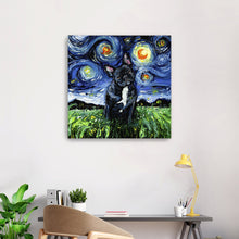 Black and White French Bulldog