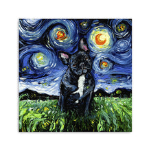 Black and White French Bulldog