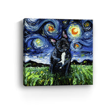 Black and White French Bulldog