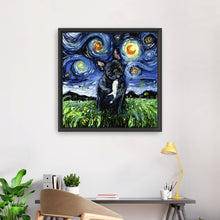 Black and White French Bulldog