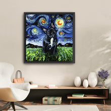 Black and White French Bulldog