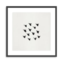 Birds In Flight Flock