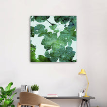 Deep Ecology-Foliage