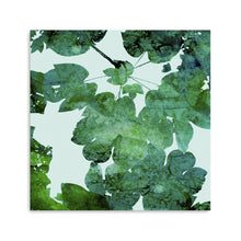 Deep Ecology-Foliage